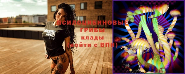 бошки Балахна
