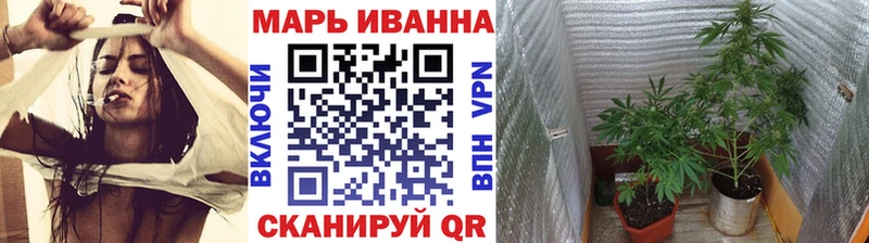 Конопля сатива  Горнозаводск 